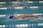 Women's Swimming & Diving  Wheaton College Women’s Swimming & Diving vs Mount Holyoke College. - Photo by Keith Nordstrom : Wheaton, Swimming & Diving